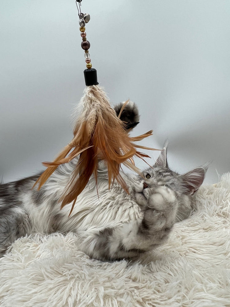 PLUMEAU SWING - Canne à pèche élégante & ultra ludique