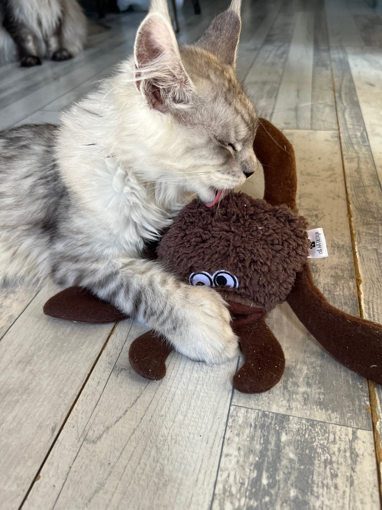 SCARABOUILLE - Mini scarabee/crabe sensoriel et son mini vapo d'herbe à chat