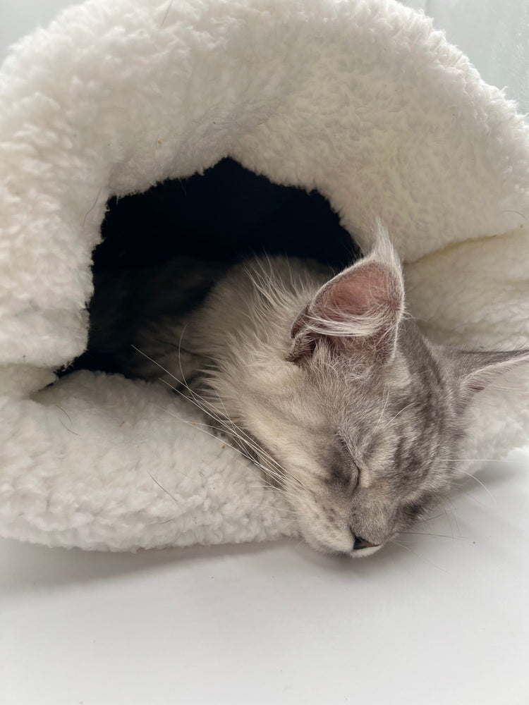 SNOOZCAT - Le cocon douillet pour des siestes en toute sécurité