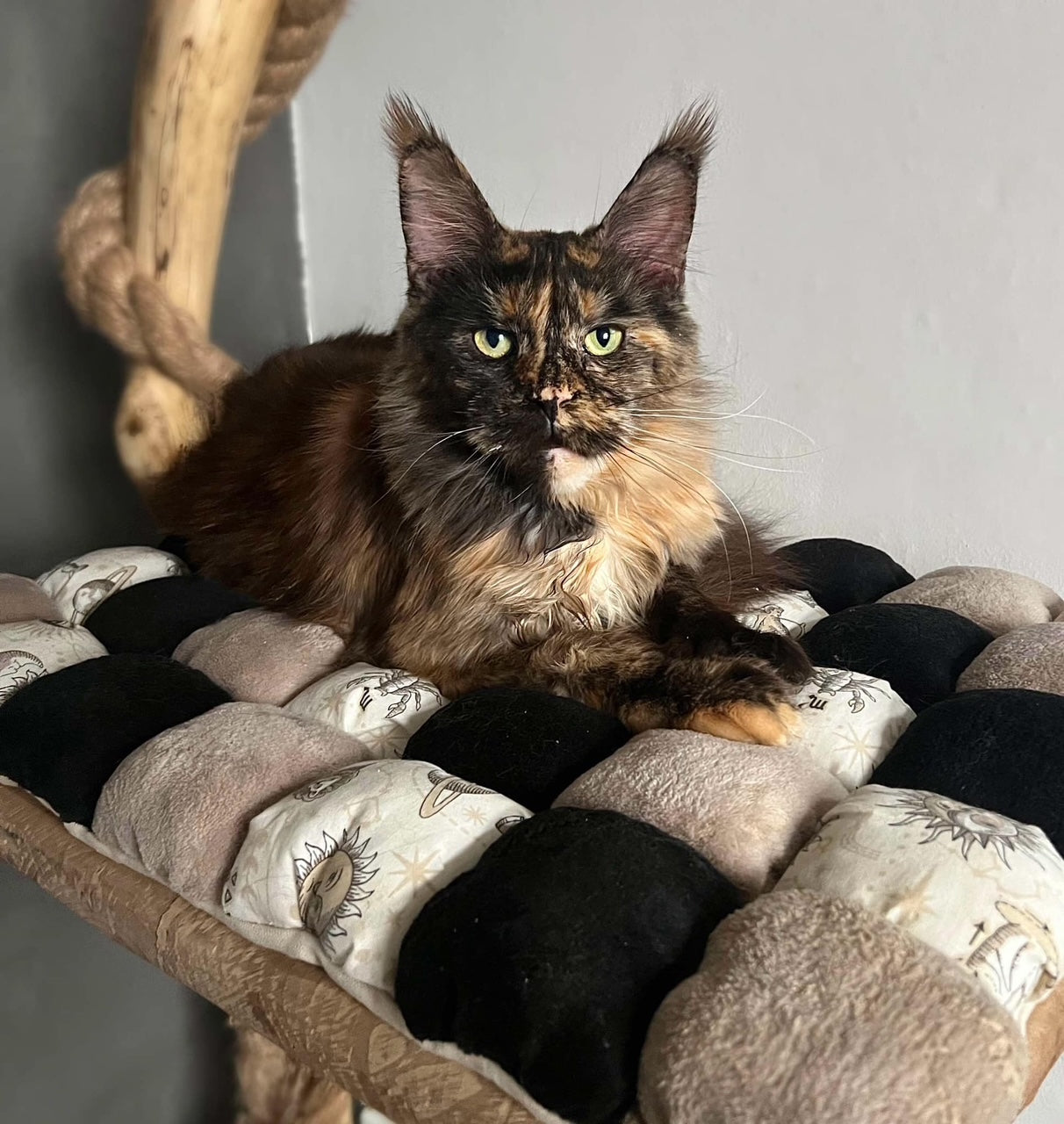 TAPIBOOL CL Astral beige