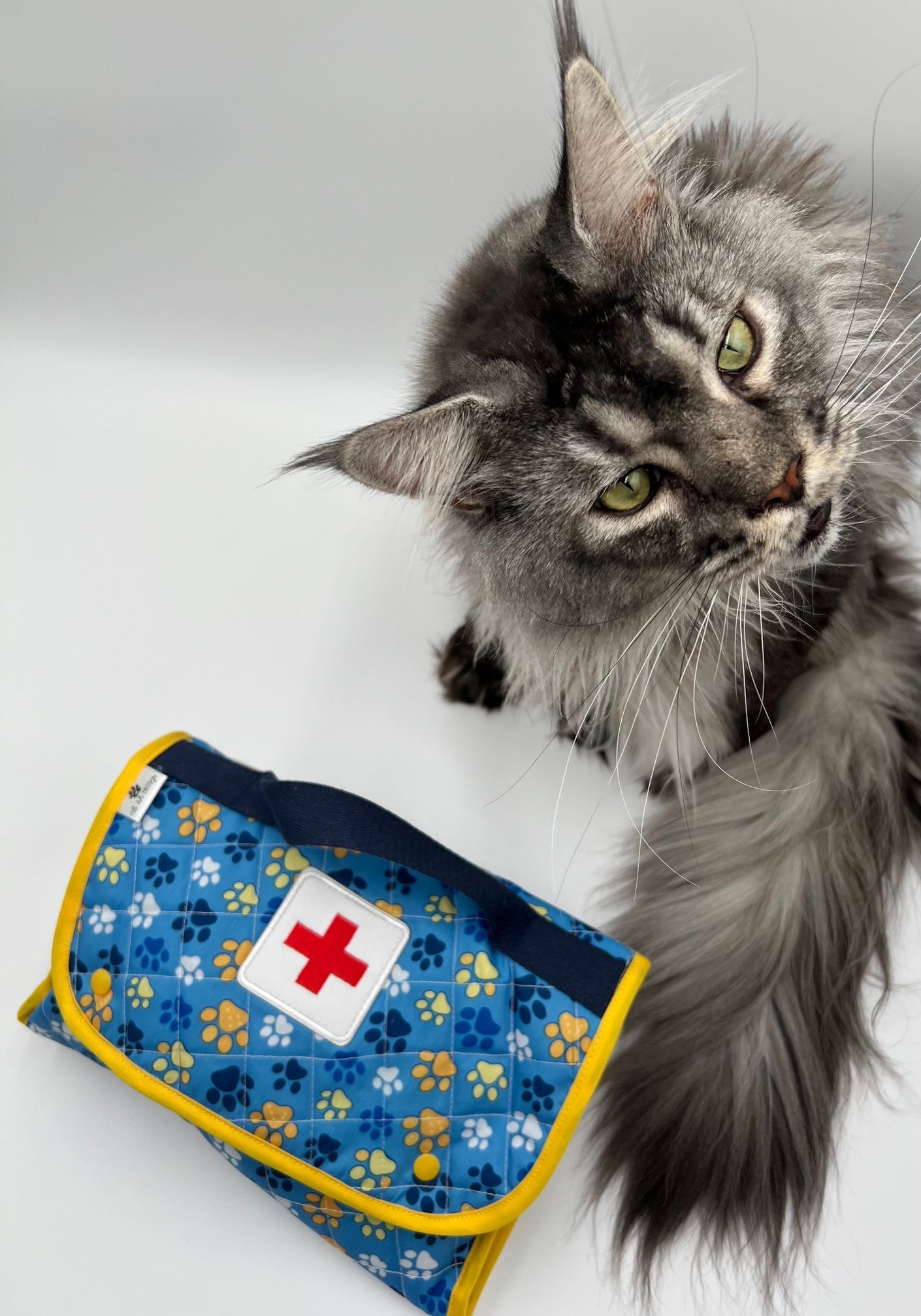 CAT RESCUE - Trousse premier secours chat