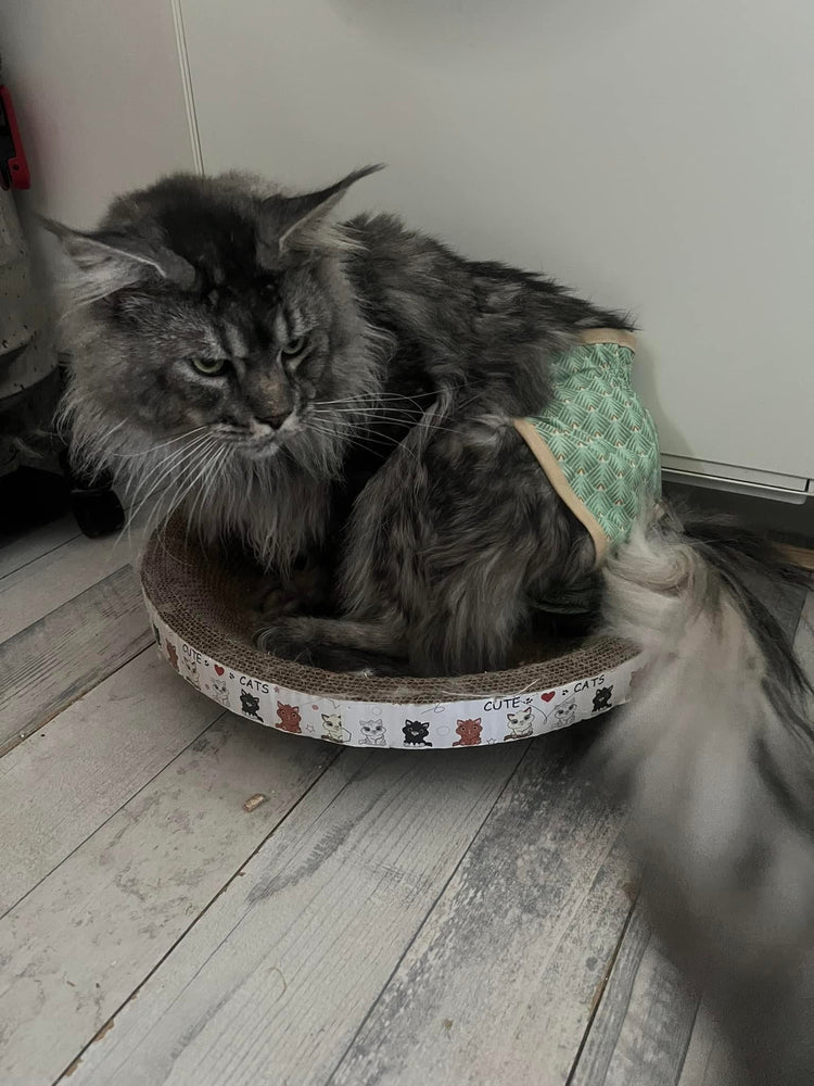 CULOTTE ANTI MARQUAGE - Protection douce et ajustable