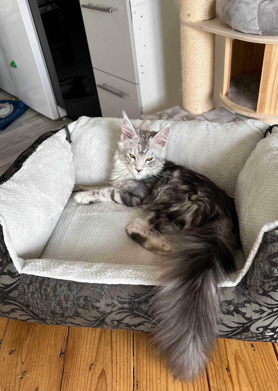 KANAP - canapé douillet