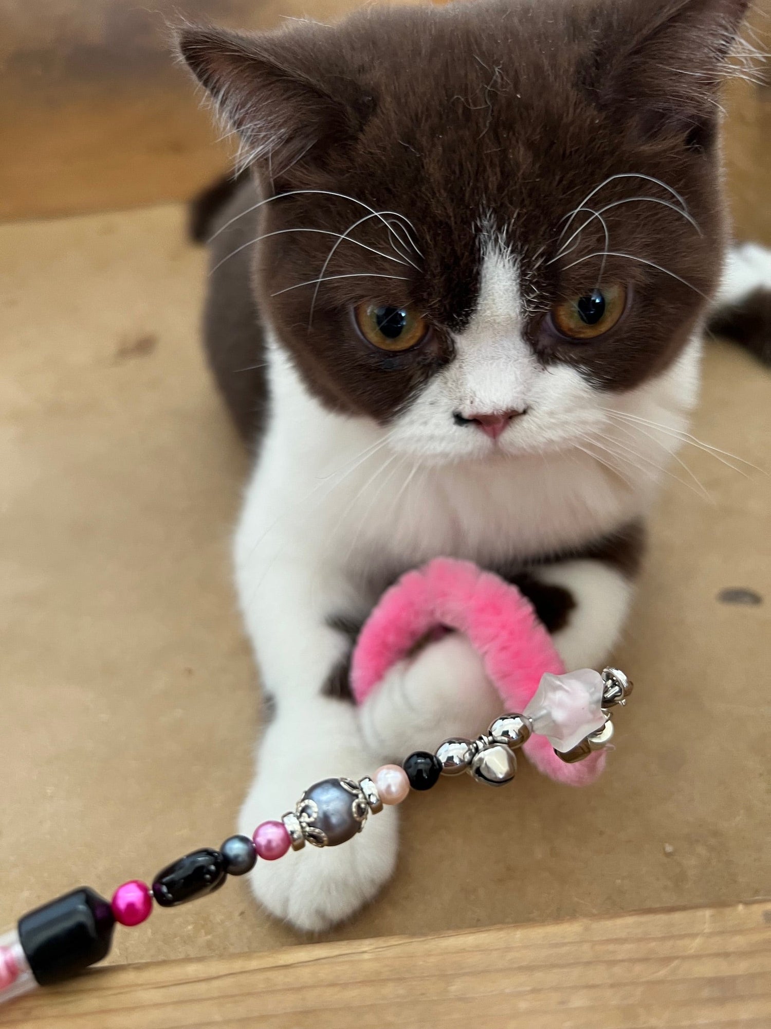 PLUMEAU ASTICOT - le petit vers bondissant pour les chats malins