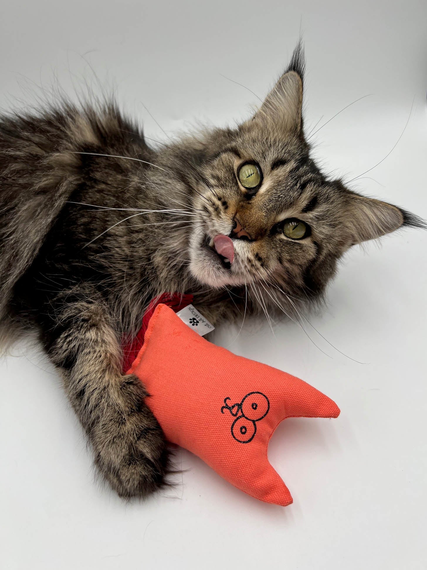 TIMINOU - Le petit chat rigolo à l'herbe à chat