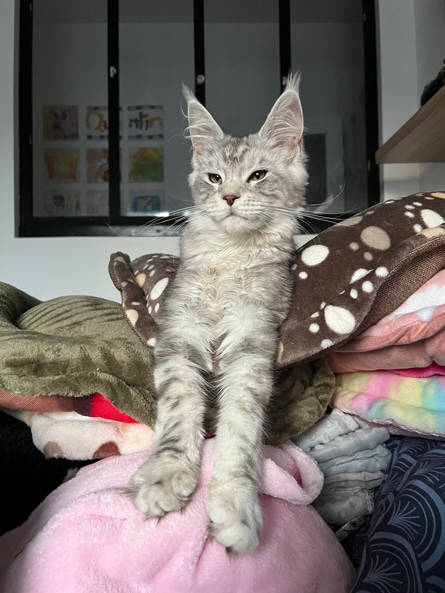 VICEVERCHA - Coussin 2 en 1 modulable à plat ou en panier