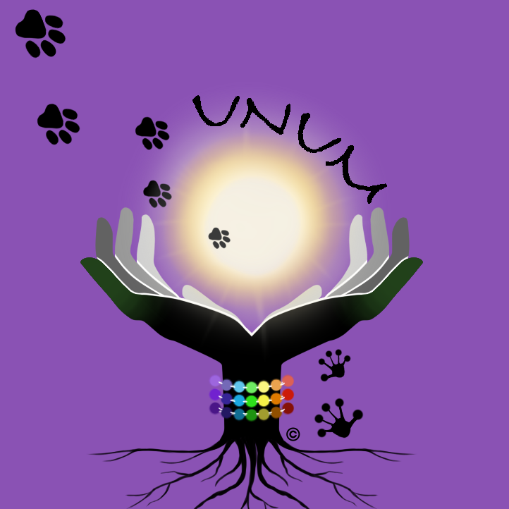 💚 Faire un don – Association UNUM