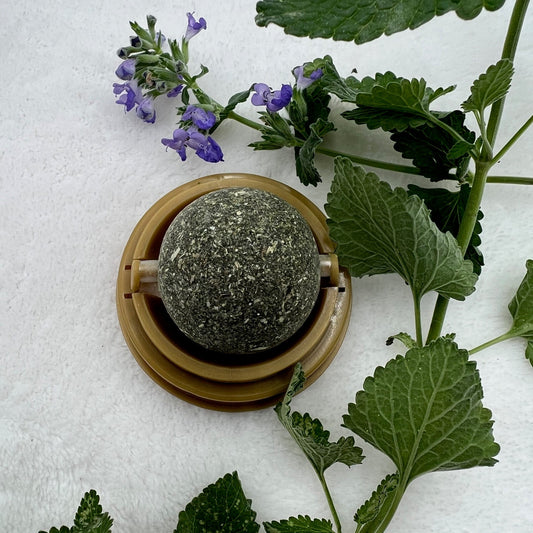 BALLE ROTATIVE D'HERBE A CHAT -  Compressée avec Socle Adhésif