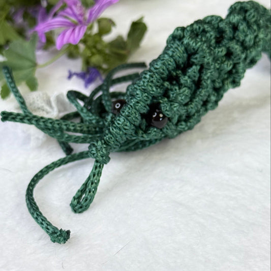 P'TITE CREVETTE 28 - Vert sapin