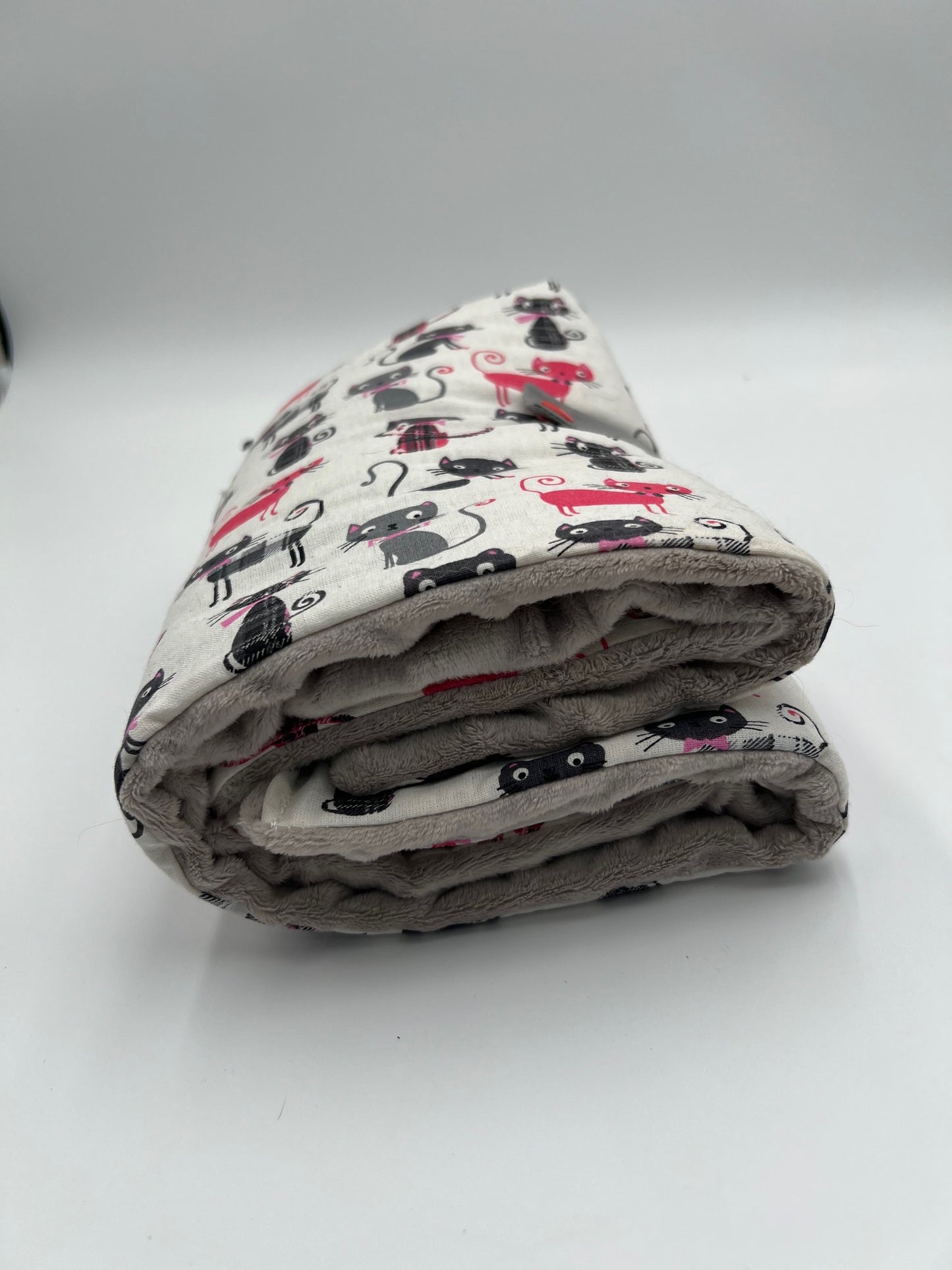 TAPICHA NOMADE Scottish cat